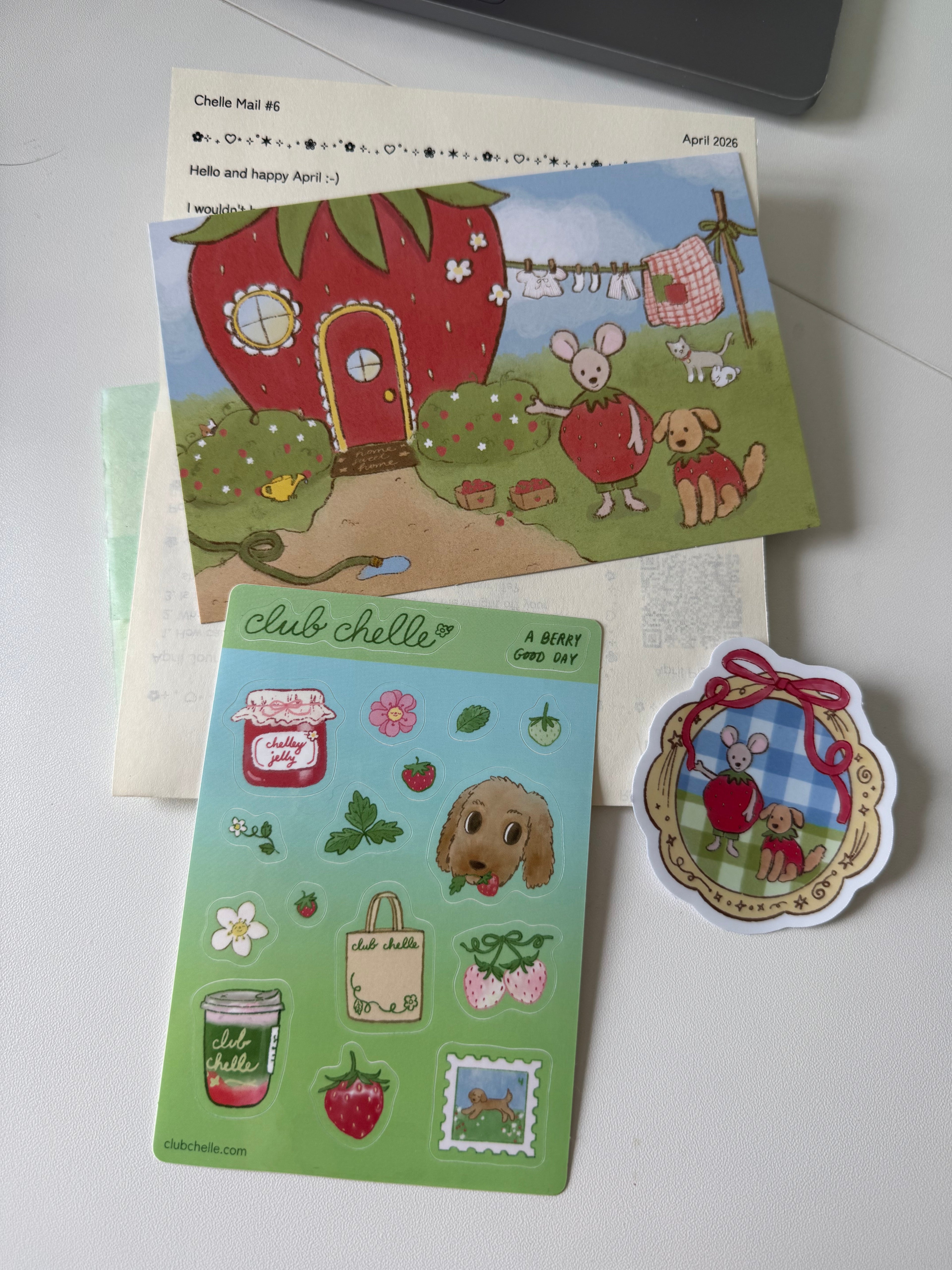 Monthly Chelle Mail Subscription